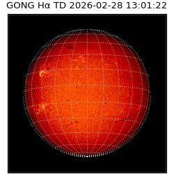 gong - 2026-02-28T13:01:22