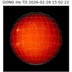 gong - 2026-02-28T15:02:22