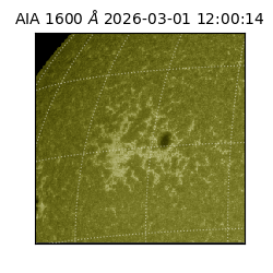 saia - 2026-03-01T12:00:14.125000