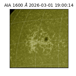 saia - 2026-03-01T19:00:14.124000