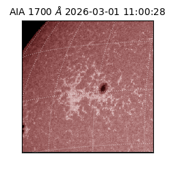 saia - 2026-03-01T11:00:28.717000