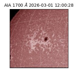 saia - 2026-03-01T12:00:28.717000