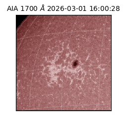 saia - 2026-03-01T16:00:28.712000