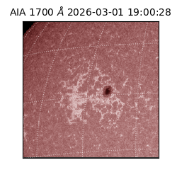 saia - 2026-03-01T19:00:28.717000