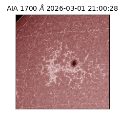 saia - 2026-03-01T21:00:28.720000