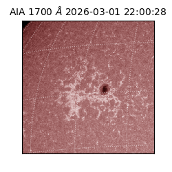 saia - 2026-03-01T22:00:28.720000