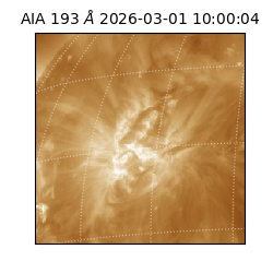 saia - 2026-03-01T10:00:04.846000