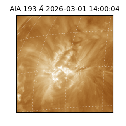 saia - 2026-03-01T14:00:04.835000