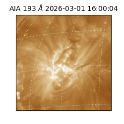 saia - 2026-03-01T16:00:04.843000