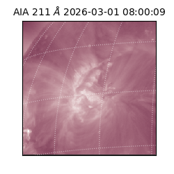 saia - 2026-03-01T08:00:09.625000