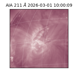 saia - 2026-03-01T10:00:09.632000