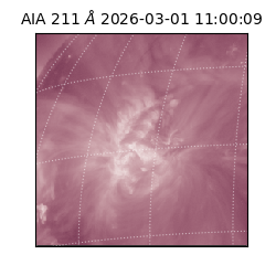 saia - 2026-03-01T11:00:09.618000