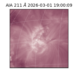 saia - 2026-03-01T19:00:09.618000