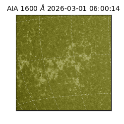 saia - 2026-03-01T06:00:14.126000