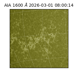 saia - 2026-03-01T08:00:14.117000