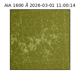 saia - 2026-03-01T11:00:14.117000