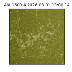 saia - 2026-03-01T13:00:14.131000