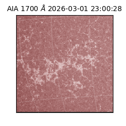 saia - 2026-03-01T23:00:28.717000