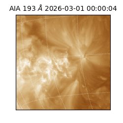 saia - 2026-03-01T00:00:04.843000