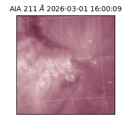 saia - 2026-03-01T16:00:09.625000