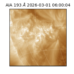 saia - 2026-03-01T06:00:04.835000
