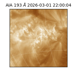 saia - 2026-03-01T22:00:04.843000