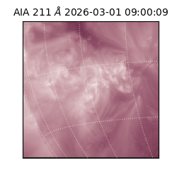 saia - 2026-03-01T09:00:09.618000