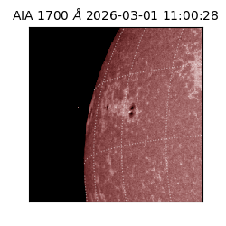 saia - 2026-03-01T11:00:28.717000