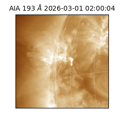 saia - 2026-03-01T02:00:04.843000