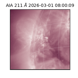 saia - 2026-03-01T08:00:09.625000