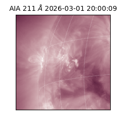 saia - 2026-03-01T20:00:09.626000