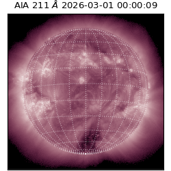 saia - 2026-03-01T00:00:09.631000