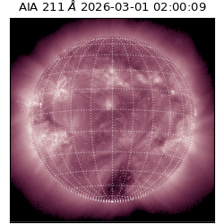 saia - 2026-03-01T02:00:09.629000