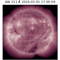 saia - 2026-03-01T17:00:09.630000