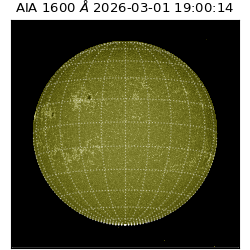 saia - 2026-03-01T19:00:14.124000