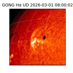 gong - 2026-03-01T08:00:02