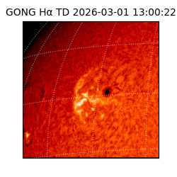 gong - 2026-03-01T13:00:22