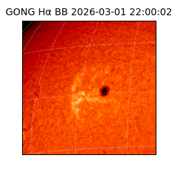 gong - 2026-03-01T22:00:02