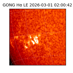 gong - 2026-03-01T02:00:42