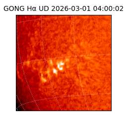 gong - 2026-03-01T04:00:02