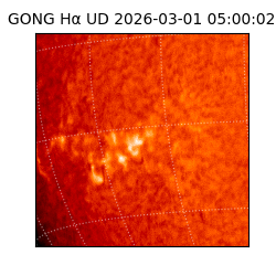 gong - 2026-03-01T05:00:02