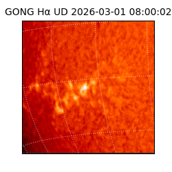 gong - 2026-03-01T08:00:02