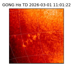 gong - 2026-03-01T11:01:22
