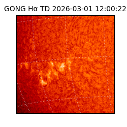 gong - 2026-03-01T12:00:22