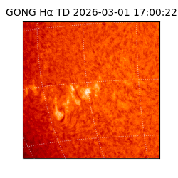 gong - 2026-03-01T17:00:22