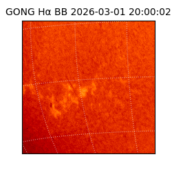 gong - 2026-03-01T20:00:02