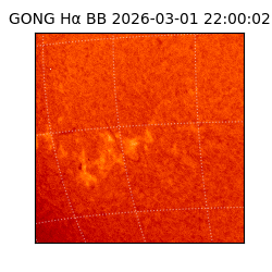 gong - 2026-03-01T22:00:02