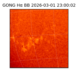 gong - 2026-03-01T23:00:02