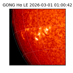 gong - 2026-03-01T01:00:42