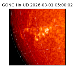 gong - 2026-03-01T05:00:02